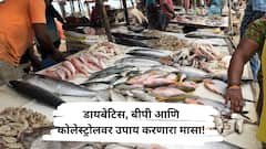 काय सांगता? हा मासा करतो डायबेटिस आणि बीपी कंट्रोल; जाणून घ्या!