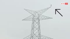 Video: लव मैरिज की जिद! हाई टेंशन टावर पर जाकर खड़ा हो गया युवक, वीडियो देख आएगी 'शोले' की याद