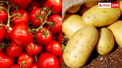 क्या टमाटर से पैदा हुए थे आलू? वैज्ञानिकों ने खोल दिया 90 लाख साल पुराना राज