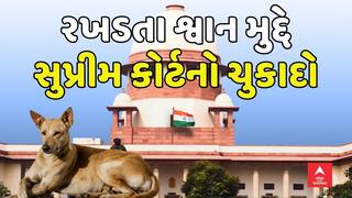 Supreme Court On Stray Dogs: રખડતા શ્વાન મુદ્દે સુપ્રીમ કોર્ટનો ચુકાદો