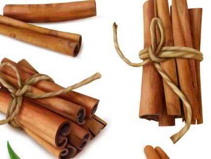 दालचीनी और लौंग की खुशबू: थोड़ी सी दालचीनी और लौंग को पानी में उबालकर किचन में रखें. इसकी सुगंध बदबू को दूर कर देती है. इसे नेचुरल रूम फ्रेशनर की तरह इस्तेमाल करें.