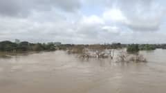 पंचगंगा नदी धोका पातळीवरून खाली आली, कोल्हापुरात पावसाचा जोर ओसरला, पुराची भीती कमी झाली, गगनबावडा वाहतूक पूर्ववत