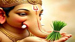 गणेशोत्सवची तयारी झाली का? दुर्वा आणायला विसरू नका; जाणून घ्या महत्त्व!