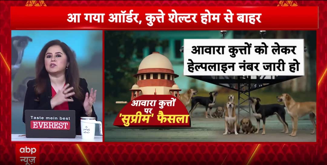 Supreme Court Highlights Coexistence And Practicality In Stray Dog Management Decision