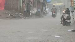 Gujarat Rain: આગામી 3 કલાકમાં 29 જિલ્લામાં વરસાદ તબાચી મચાવશે, હવામાન વિભાગે એલર્ટ જાહેર કર્યું