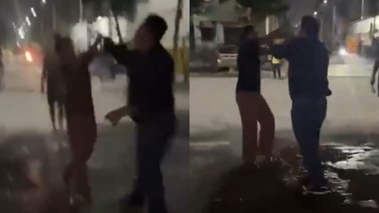 Slapped 8 Times In 38 Seconds: Woman Assaulted For Feeding Stray Dogs In Ghaziabad