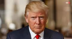 डोनाल्ड ट्रंप का बड़ा ऐलान, फार्मा के बाद अब इस सेक्टर पर भी लगाएंगे टैरिफ, क्या भारत पर भी होगा असर?