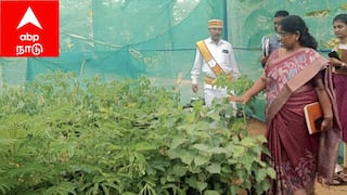 சிவகங்கை விவசாயிகளுக்கு குறைந்த விலையில் மரக்கன்றுகள்! ரூர்பன் திட்டம் மூலம் புதிய முயற்சி!