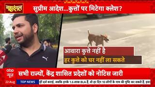 Mahadangal: Supreme Court Issues Major Verdict on Stray Dogs, Relief for Dog Lovers, Concerns for Citizens