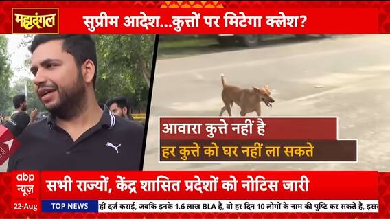 Mahadangal: Supreme Court Issues Major Verdict on Stray Dogs, Relief for Dog Lovers, Concerns for Citizens