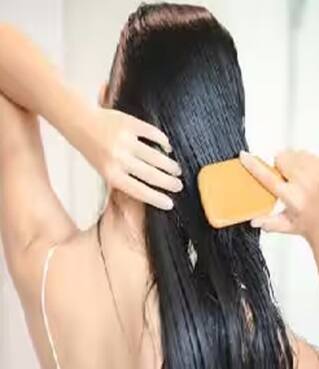 ਚਿੱਟੇ ਵਾਲ ਹੋਣਗੇ ਕਾਲੇ, ਬਸ ਸਰ੍ਹੋਂ ਦੇ ਤੇਲ ‘ਚ ਮਿਲਾ ਕੇ ਲਾਓ ਆਹ ਪਾਊਡਰ