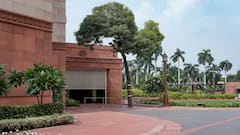 SPG Flags Silver Trumpet Tree Near New Parliament As Security Risk; To Be Transplanted