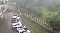 Gujarat Rain: આગામી 3 કલાકમાં 29 જિલ્લામાં વરસાદ તબાચી મચાવશે, હવામાન વિભાગે એલર્ટ જાહેર કર્યું