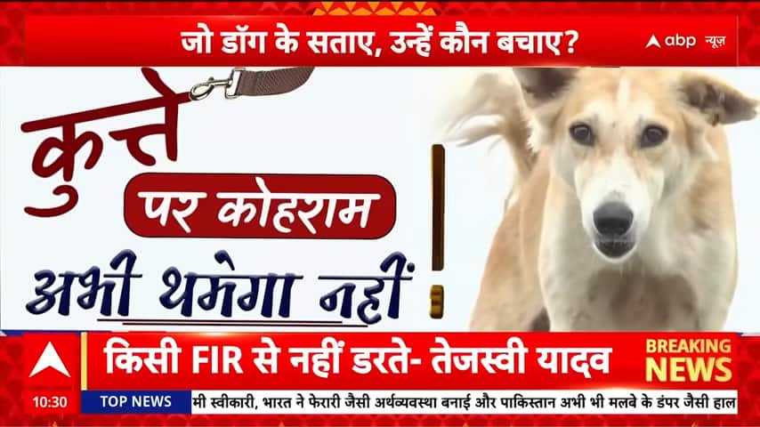 Breaking: Has the Supreme Court’s decision on stray dogs struck the right balance between compassion and public safety?