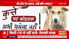 Breaking: Has the Supreme Court’s decision on stray dogs struck the right balance between compassion and public safety?