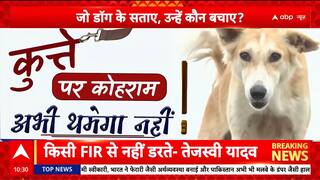 Breaking: Has the Supreme Court’s decision on stray dogs struck the right balance between compassion and public safety?
