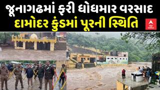 Junagadh Heavy Rains: જૂનાગઢમાં ફરી ધોધમાર વરસાદ, દામોદર કુંડમાં પૂરની સ્થિતિ