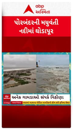 Porbandar Rains: ઉપરવાસમાં ભારે વરસાદથી પોરબંદરની મધુવંતી નદીમાં ઘોડાપુરની સ્થિતિ સર્જાઈ