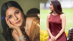 शहनाज गिल की क्यूटनेस के हैं दीवाने,  तो देखें एक्ट्रेस की 10 ये सबसे खूबसूरत तस्वीरें