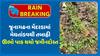 Junagadh Rains: જૂનાગઢના મેંદરડામાં મેઘતાંડવથી તબાહી, ઊભો પાક થયો જમીનદોસ્ત
