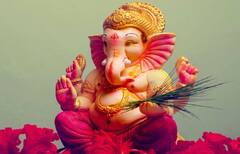 Ganesh Chaturthi 2025 : દુર્વા અને ગણેશજીને શું છે ખાસ સંબંધ,  જાણો કેમ છે બાપ્પાને દુર્વા પ્રિય