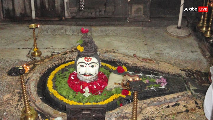अरेया लिंग ऋषियों द्वारा तप और अनुष्ठानों द्वारा प्रतिष्ठित, ऋषियों के ज्ञान और तपस्या का प्रतीक अरेया लिंग है. महाराष्ट्र का त्र्यंबकेश्वर ज्योतिर्लिंग जिसे गौतम द्वारा स्थापित किया गया था. नागेश्वर ज्योतिर्लिंग, द्वारका और गुजरात जो प्राचीन ऋषियों द्वारा पूजित है.