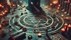 कहीं आपके घर में तो नहीं आता ये पक्षी, हो सकता है तंत्र मंत्र का साया