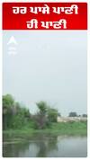 ਹਰ ਪਾਸੇ ਪਾਣੀ ਹੀ ਪਾਣੀ