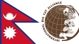 Nepal Joins International Big Cat Alliance, Boosting Global Tiger And Snow Leopard Conservation