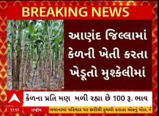 Anand News : કેળાના ભાવ તળિયે જતાં આણંદના ખેડૂતો મુકાયા મુશ્કેલીમાં, જુઓ અહેવાલ