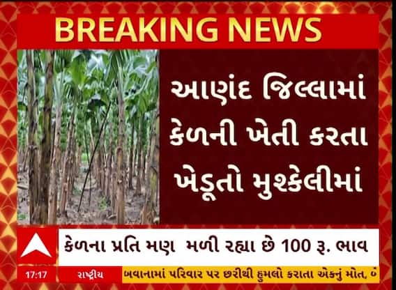 Anand News : કેળાના ભાવ તળિયે જતાં આણંદના ખેડૂતો મુકાયા મુશ્કેલીમાં, જુઓ અહેવાલ