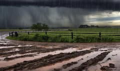 Gujarat Rain forecast: આગામી 7 દિવસ રાજ્યમાં રહેશે  ભારે વરસાદ, આ જિલ્લામાં ઓરેન્જ એલર્ટ