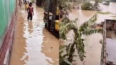 फल्गु नदी के जलस्तर में बेतहाशा वृद्धि, पटना के कई गांव डूबे, बाढ़ के पानी से गया, नालंदा, जहानाबाद में भी तबाही
