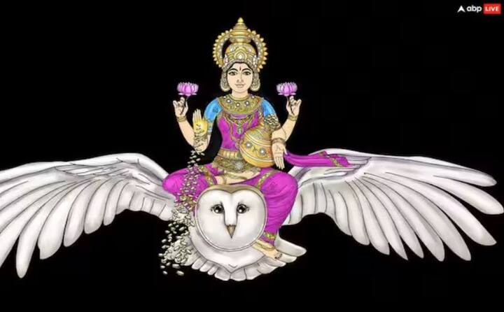 ਭਾਵੇਂ ਉੱਲੂ ਦੇਖਣਾ ਬਹੁਤ ਘੱਟ ਹੁੰਦਾ ਹੈ, ਪਰ ਕਈ ਮਾਨਤਾਵਾਂ ਅਨੁਸਾਰ, ਉੱਲੂ ਮਹਾਲਕਸ਼ਮੀ ਦਾ ਵਾਹਨ ਹੈ। ਅਜਿਹੀ ਸਥਿਤੀ ਵਿੱਚ, ਜੇਕਰ ਉੱਲੂ ਦਿਖਾਈ ਦਿੰਦਾ ਹੈ, ਤਾਂ ਇਸਨੂੰ ਧਨ, ਸ਼ੁਭਕਾਮਨਾਵਾਂ ਅਤੇ ਖੁਸ਼ਹਾਲੀ ਦੀ ਪ੍ਰਾਪਤੀ ਦਾ ਸੰਕੇਤ ਵੀ ਮੰਨਿਆ ਜਾਂਦਾ ਹੈ।