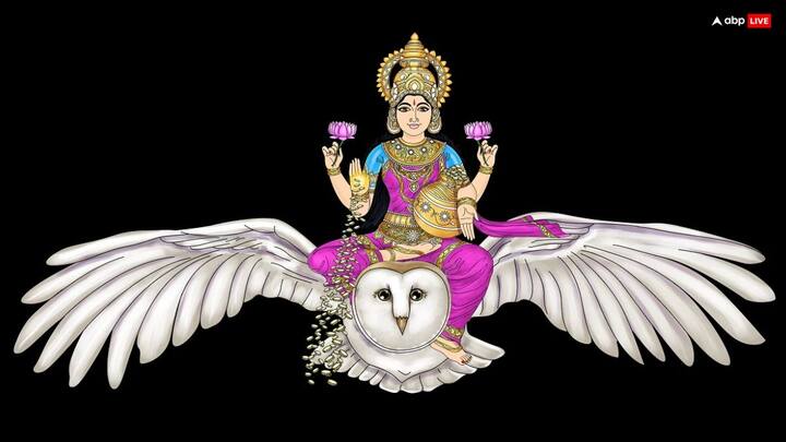 वैसे तो उल्लू का दिखना बहुत दुर्लभ है, लेकिन कई मान्यता अनुसार उल्लू महालक्ष्मी का वाहन है. ऐसे में उल्लू दिख जाए तो धन, सौभाग्य और समृद्धि प्राप्ति का संकेत भी माना जाता है.