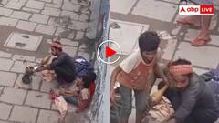 खेल दिखा रहे सपेरे के बेटे को ही काट खाया सांप! दर्द से छटपटाने लगा मासूम- वीडियो वायरल