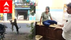 சிறுத்தையை கண்டு அஞ்சாத மயிலாடுதுறை நாய்யை கண்டு அலறல்...