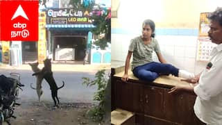 சிறுத்தையைக் கண்டு அஞ்சாத மயிலாடுதுறை, நாயைக் கண்டு அலறல்.