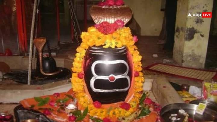 दिव्य लिंग देवताओं और ऋषियों द्वारा स्थापित, विशेष ऊर्जा धारण करने वाला कहा जाता है. रामेश्वरम ज्योतिर्लिंग, तमिलनाडु, श्री राम द्वारा स्थापित, सोमनाथ ज्योतिर्लिंग, गुजरात, चंद्रदेव द्वारा पूजित है.