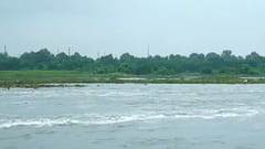 Ahmedabad: સાબરમતી નદી બે કાંઠે, ધરોઇ ડેમમાંથી પાણી છોડાતા પ્રવાહ વધ્યો, વાસાણા બેરેજના 24 દરવાજા ખોલાયા