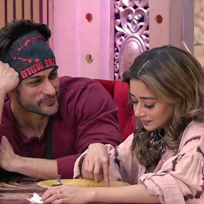 बिग बॉस 16 में शालीन भानोट और टीना दत्ता का रिश्ता धोखे और दिखावे से भरा रहा. शो में शालीन ने टीना को बचाने की बजाय इनाम की राशि रखने का फैसला किया, जिससे बाद विवाद खड़ा हो गया. हालांकि, टीना का शो से बाहर होना केवल दिखावा था, असल में ये एक फेक एविक्शन था.