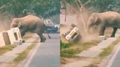 Video: इतना भयंकर गुस्सा! सड़क पर हाथी ने पलट दी गाड़ी, कई बार मारा धक्का, वीडियो वायरल