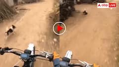 भारी मिस्टेक हो गया माई बाप! बाइक राइडर से पंगा लेना कुत्ते को पड़ा भारी- वीडियो देख नहीं रुकेगी हंसी