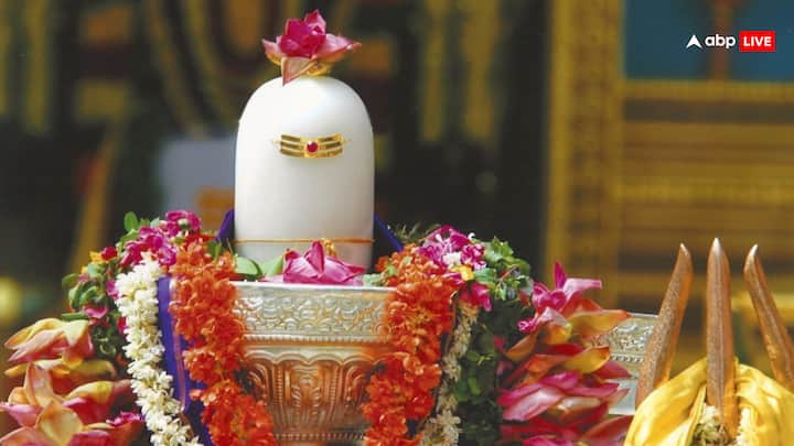 मानव लिंग मंदिर और घर में पाए जाने वाले अनुष्ठानों द्वारा मनुष्यों द्वारा निर्मित और प्रतिष्ठित, प्राण प्रतिष्ठा द्वारा शक्ति प्राप्त करता है. काशी विश्वनाथ ज्योतिर्लिंग, वाराणसी, हालांकि भक्तों और राजाओं द्वारा कई बार पुनर्निर्मित किया गया. स्थानीय मंदिर, लिंग और घरेलू मंदिर पुजारियों और भक्तों द्वारा स्थापित किए गए हैं.