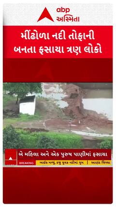Navsari Rescue: નવસારીમાં મીંઢોળા નદીમાં આવ્યું પૂર, લાકડા કાપવા ગયેલા 3 લોકો ફસાયા