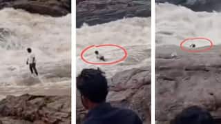 Youtuber Video: अन् बघता बघता युट्यूबर रिल्सच्या नादात धबधब्यात गेला वाहून; अवघ्या काही सेकंदात दोस्त गायब झाल्याने मित्रांचा एकच आक्रोश