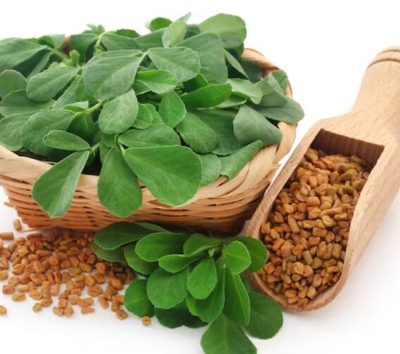 ਮੇਥੀ ਦਾ ਪਾਣੀ ਪੀਣ ਦੇ ਸਿਹਤਮੰਦ ਫਾਇਦੇ, ਬਲੱਡ ਸ਼ੂਗਰ ਨਿਯੰਤਰਣ ਕਰਨ ਤੋਂ ਲੈ ਕੇ ਵਜ਼ਨ ਘਟਾਉਣ 'ਚ ਮਦਦਗਾਰ