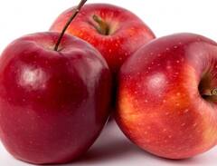 फेफड़ों को मजबूत करने के लिए खाएं ये 6 फल, बार-बार खांसी की परेशानी रहेगी दूर