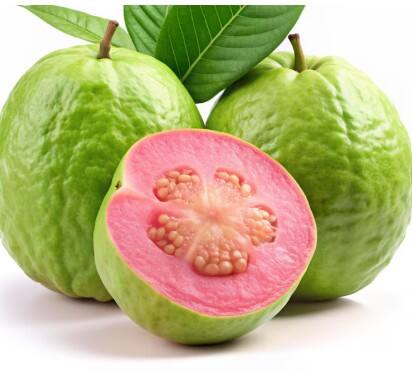 ਅਮਰੂਦ ਨੂੰ ਖੁਰਾਕ 'ਚ ਸ਼ਾਮਲ ਕਰਨਾ ਆਸਾਨ ਹੈ। ਦਿਨ ਵਿੱਚ ਇੱਕ ਅਮਰੂਦ ਖਾਣਾ ਫਾਇਦੇਮੰਦ ਹੁੰਦਾ ਹੈ। ਪੱਕਾ ਅਮਰੂਦ ਪੇਟ ਲਈ ਕੱਚੇ ਨਾਲੋਂ ਚੰਗਾ ਹੁੰਦਾ ਹੈ। ਦਹੀਂ ਜਾਂ ਓਟਸ ਨਾਲ ਅਮਰੂਦ ਖਾਣ ਨਾਲ ਪਾਚਨ ਸੁਧਰਦਾ ਹੈ। ਜੇ ਅਮਰੂਦ ਨਾ ਮਿਲੇ ਤਾਂ ਪਪੀਤਾ ਵੀ ਖਾ ਸਕਦੇ ਹੋ, ਕਿਉਂਕਿ ਇਹ ਵਿਟਾਮਿਨ ਸੀ ਅਤੇ ਫਾਈਬਰ ਨਾਲ ਭਰਪੂਰ ਹੁੰਦਾ ਹੈ।