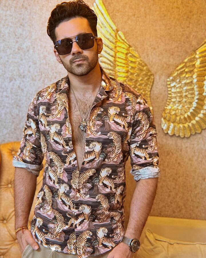 शादी से पहले अभिषेक ने 7 साल तकर आकांक्षा को डेट किया था. एक्टर सोशल मीडिया पर काफी पॉपुलर हैं, उनके इंस्टाग्राम पर 4 लाख से भी ज्यादा फॉलोवर्स हैं.